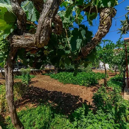 아파트 With Parking Space Raslina, Krka - 24304 *