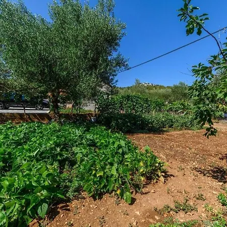 아파트 With Parking Space Raslina, Krka - 24304